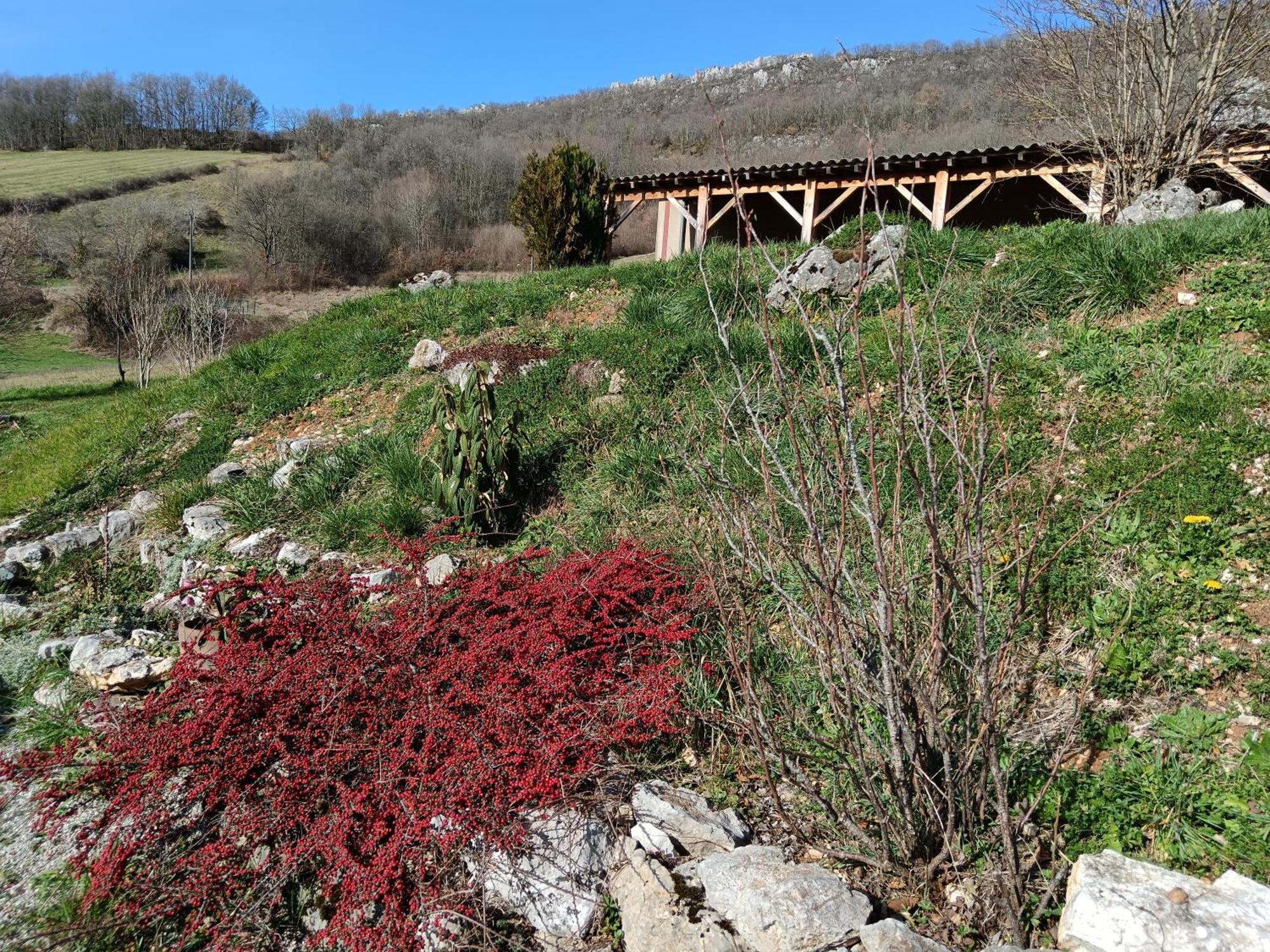 Maison Chaleureuse En Ariege Roquefort-Les-Cascades Exterior photo